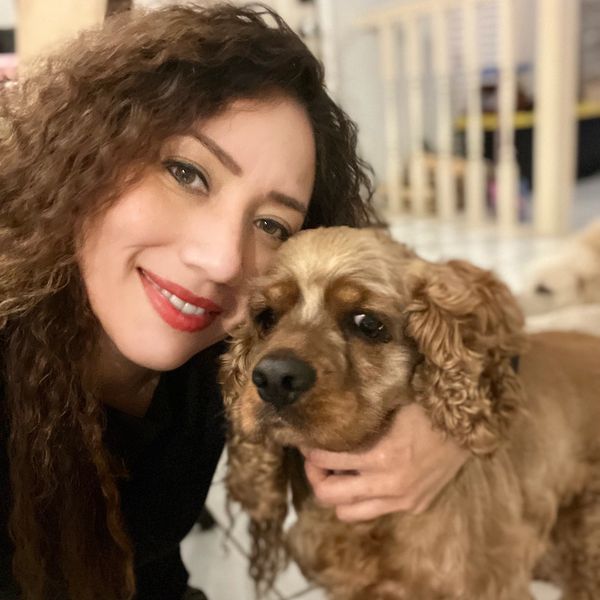 Mobile Pet Grooming Services Toby's Pet Services